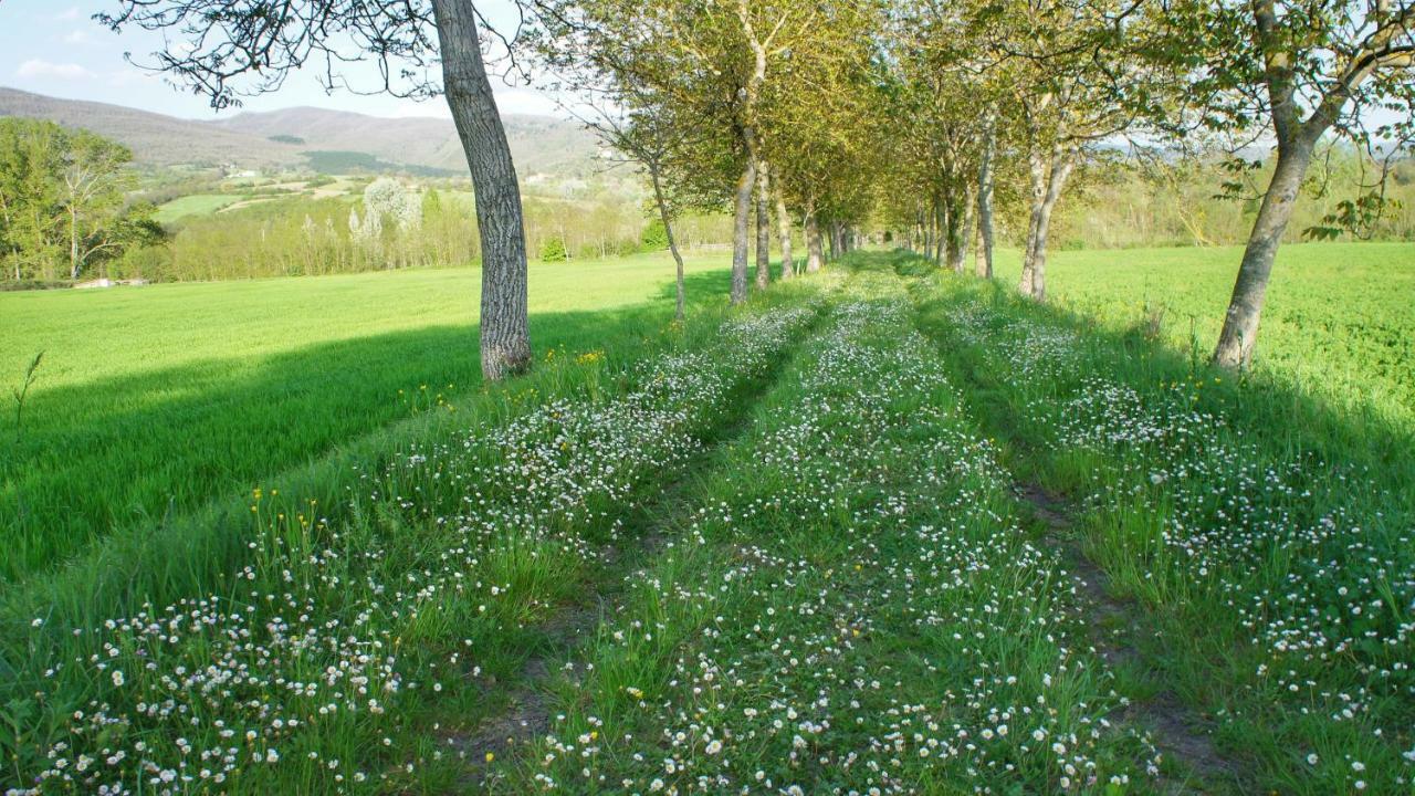 Agriturismo Casa Agricola Rossi Appartamenti in Casentino Soci Esterno foto