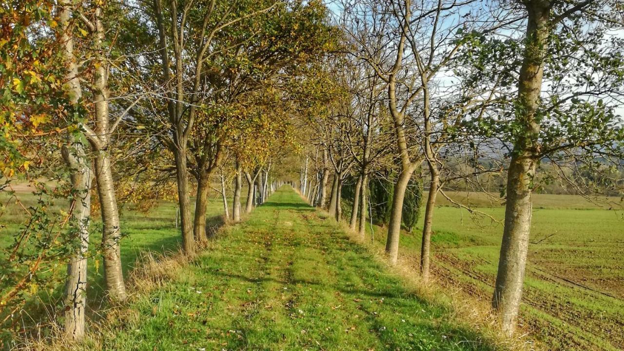 Agriturismo Casa Agricola Rossi Appartamenti in Casentino Soci Esterno foto
