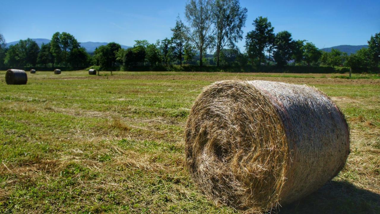 Agriturismo Casa Agricola Rossi Appartamenti in Casentino Soci Esterno foto