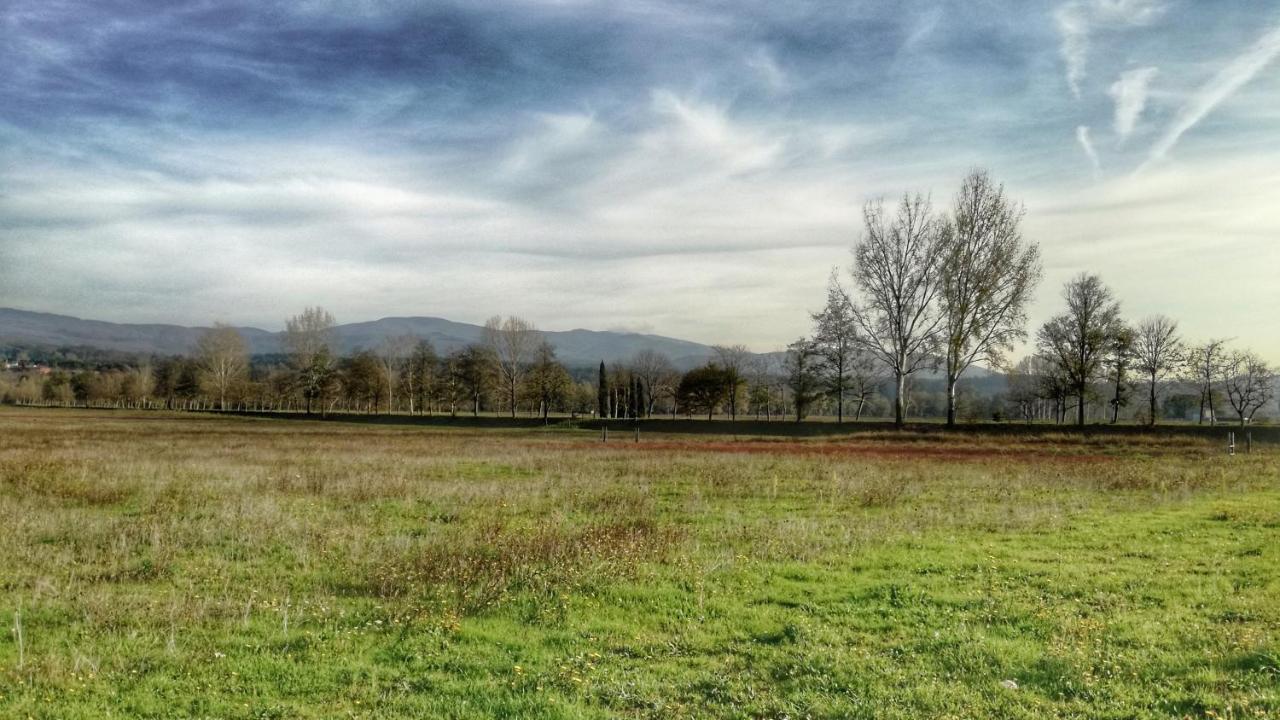 Agriturismo Casa Agricola Rossi Appartamenti in Casentino Soci Esterno foto