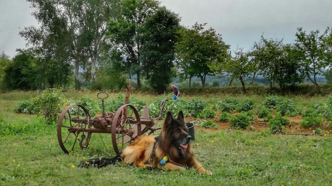 Agriturismo Casa Agricola Rossi Appartamenti in Casentino Soci Esterno foto