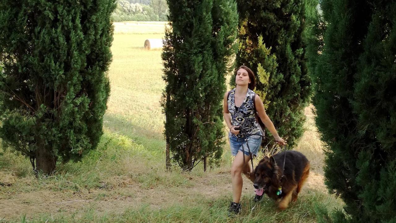 Agriturismo Casa Agricola Rossi Appartamenti in Casentino Soci Esterno foto