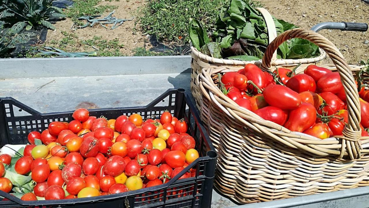 Agriturismo Casa Agricola Rossi Appartamenti in Casentino Soci Esterno foto